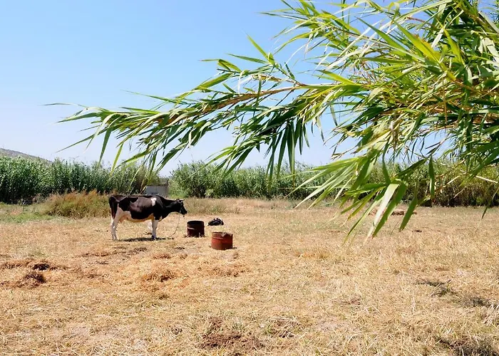 Appartement Marili Parasporos